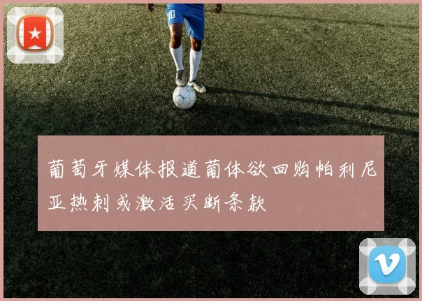 葡萄牙媒体报道葡体欲回购帕利尼亚热刺或激活买断条款
